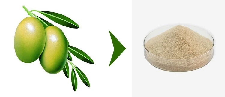 Hydroxytyrosol Powder 1 Hydroxytyrosol Powder 1