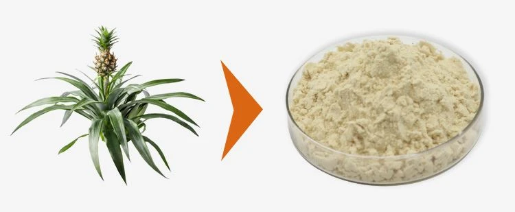 Bromelain Powder Bulk 1