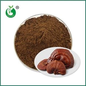 Ganoderma sporų miltelių poveikis ir kontraindikacijos