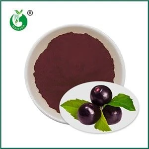 Acai uogų sulčių milteliai