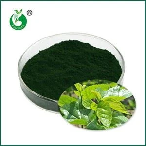 Kas yra natrio vario chlorofilinas? Kam jis naudojamas?