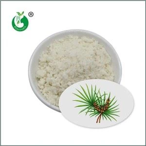 Saw Palmetto ekstrakto milteliai