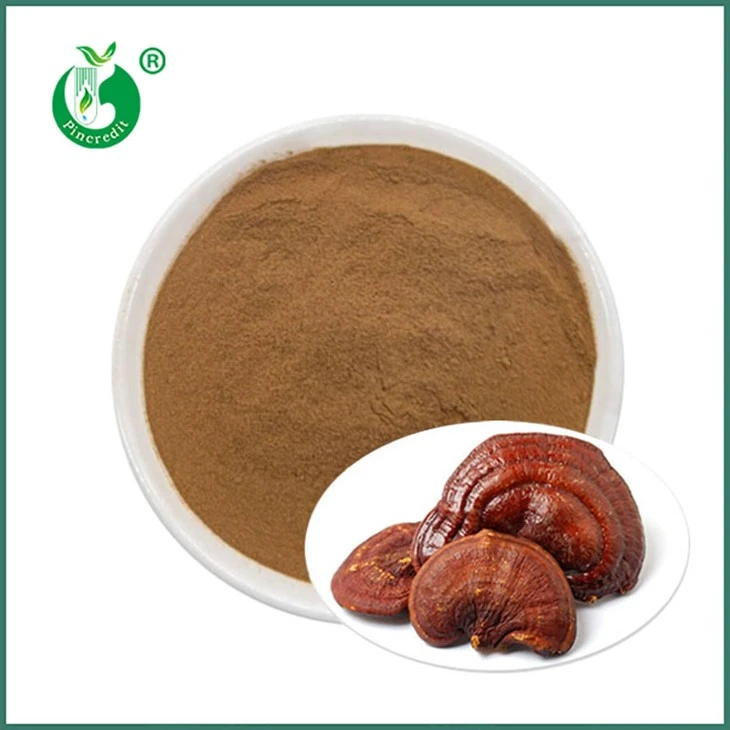 Reishi ekstrakto milteliai