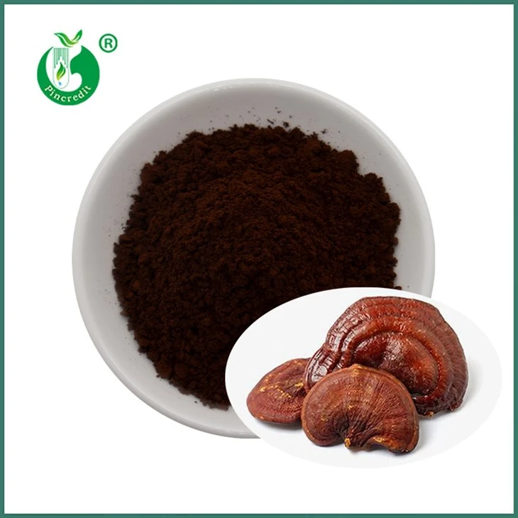 Reishi sporų pudra